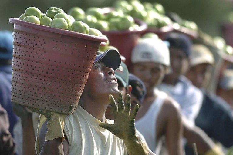 La Migración Laboral Crece De Cinco Millones A Nivel Mundial – CUBA ...