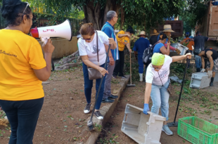 Trabajo voluntario en celebración del 65 aniversario del trabajo "volungatorio", como lo describen los cubanos.